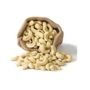 Cashew Nut