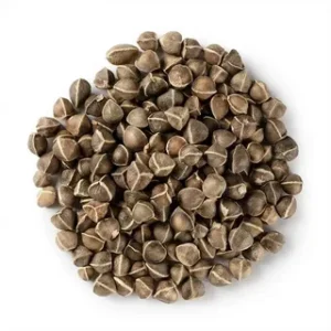 Moringa seeds